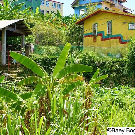 Baey Bogan Homestay Sagada Exterior foto
