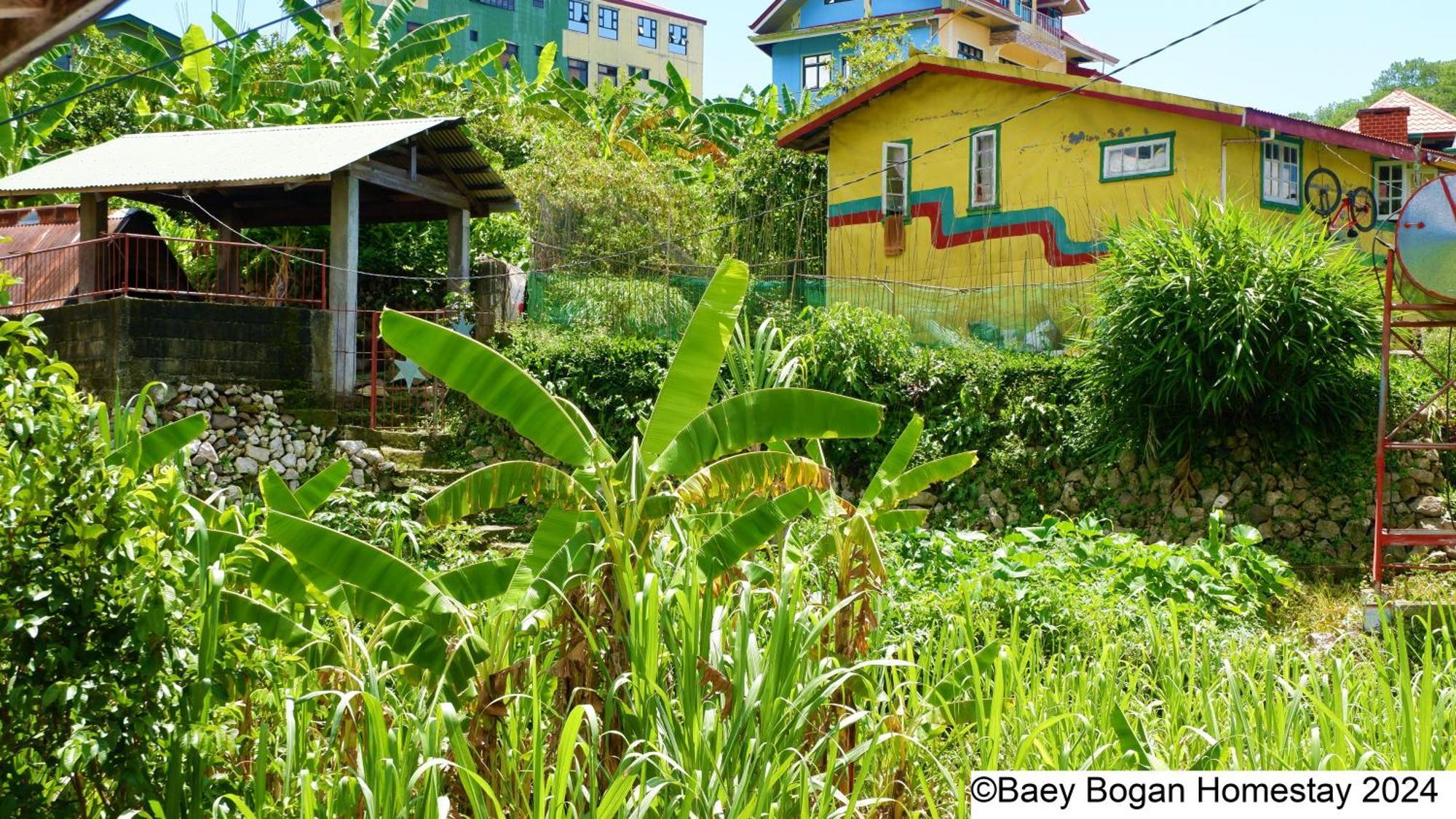 Baey Bogan Homestay Sagada Exterior foto