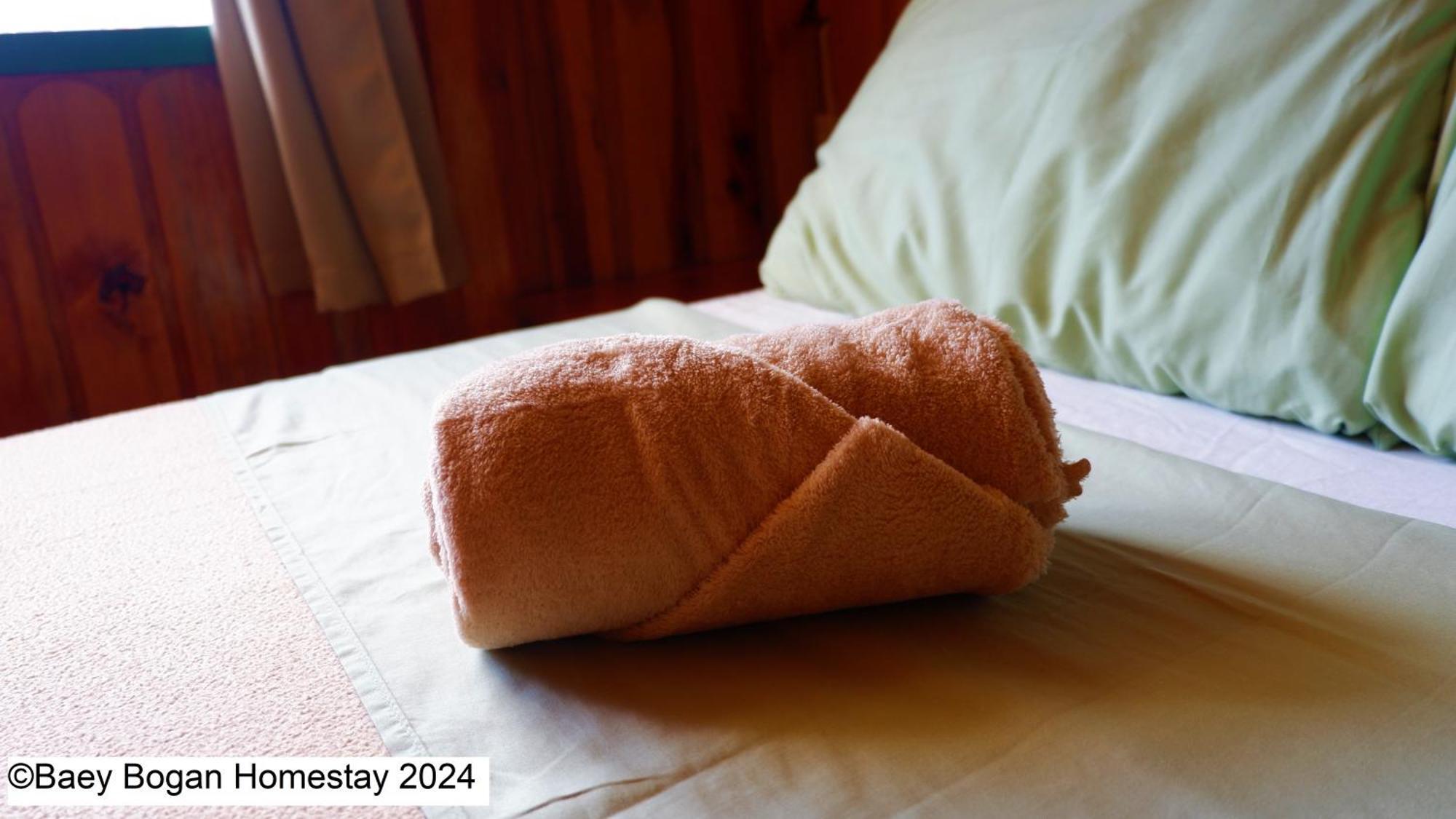 Baey Bogan Homestay Sagada Exterior foto