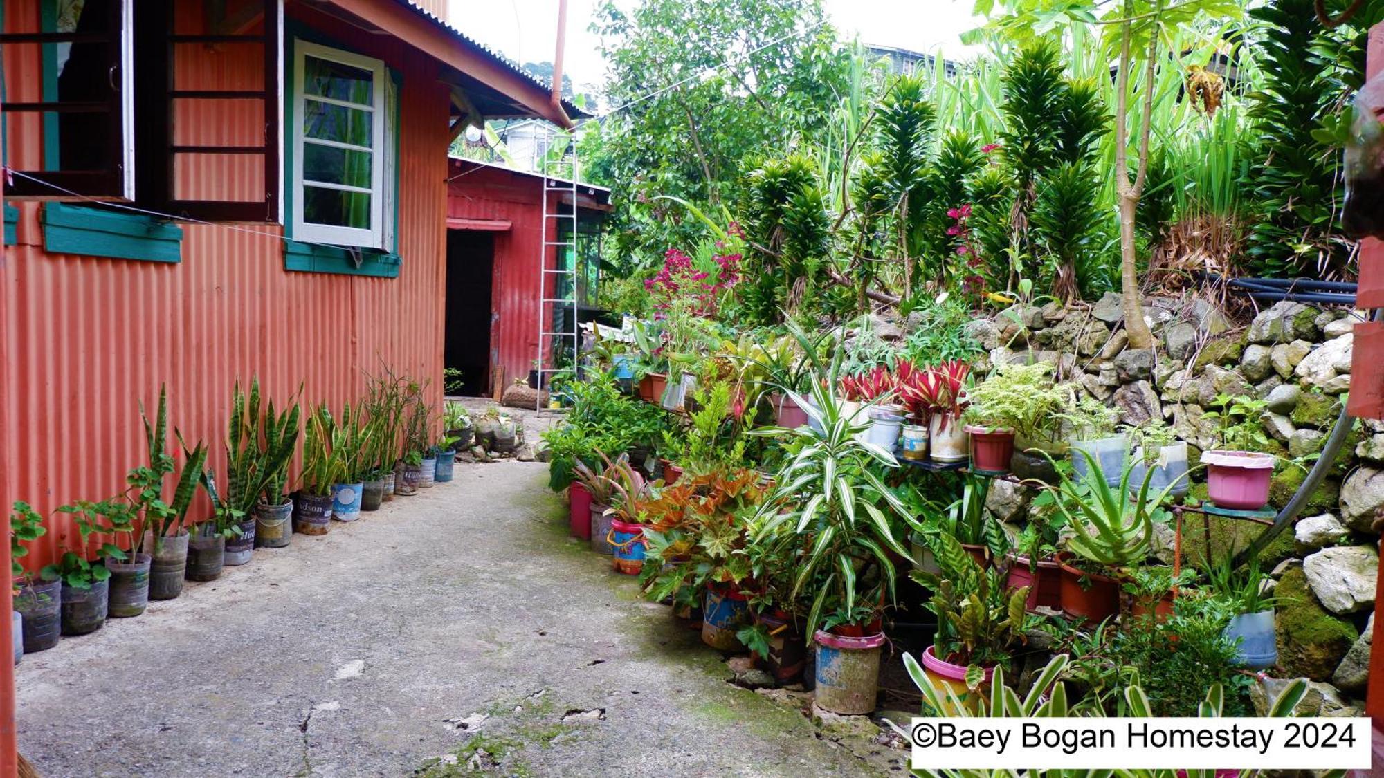 Baey Bogan Homestay Sagada Exterior foto