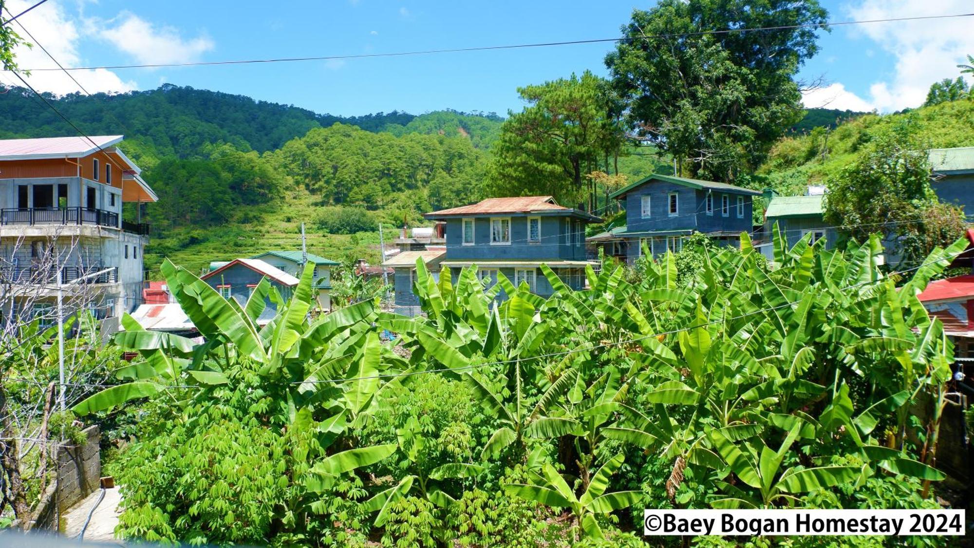 Baey Bogan Homestay Sagada Exterior foto