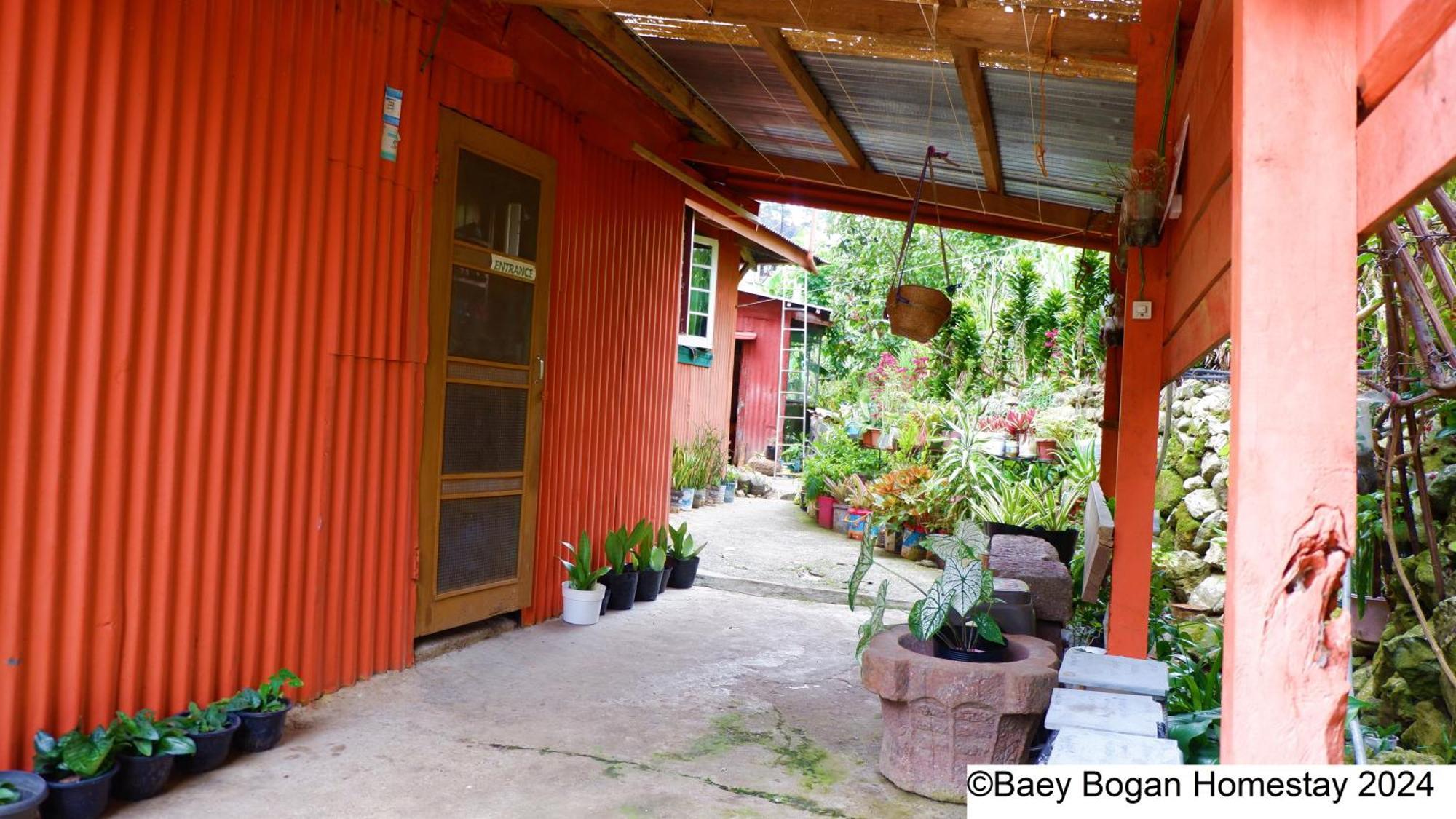 Baey Bogan Homestay Sagada Exterior foto