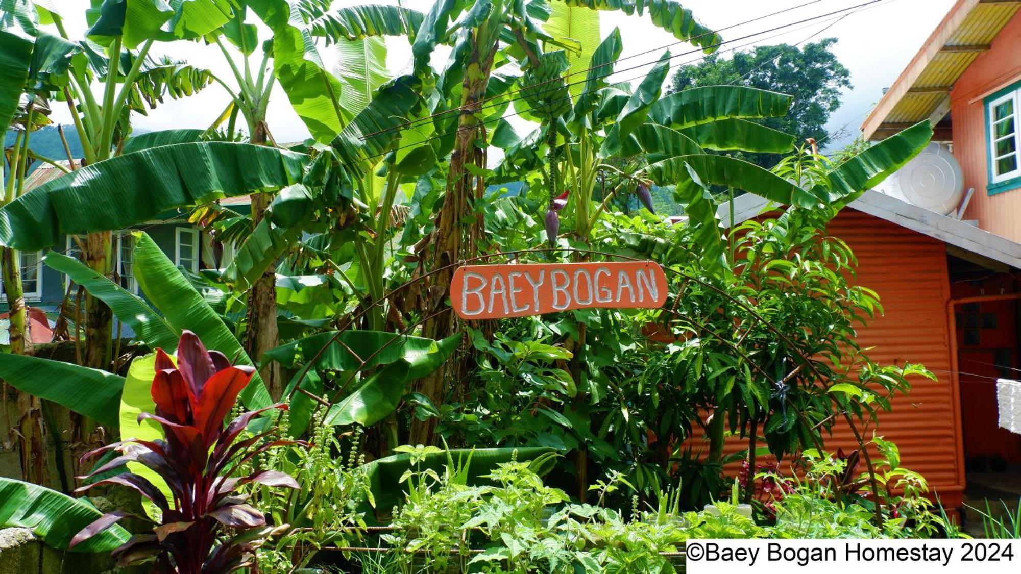 Baey Bogan Homestay Sagada Exterior foto