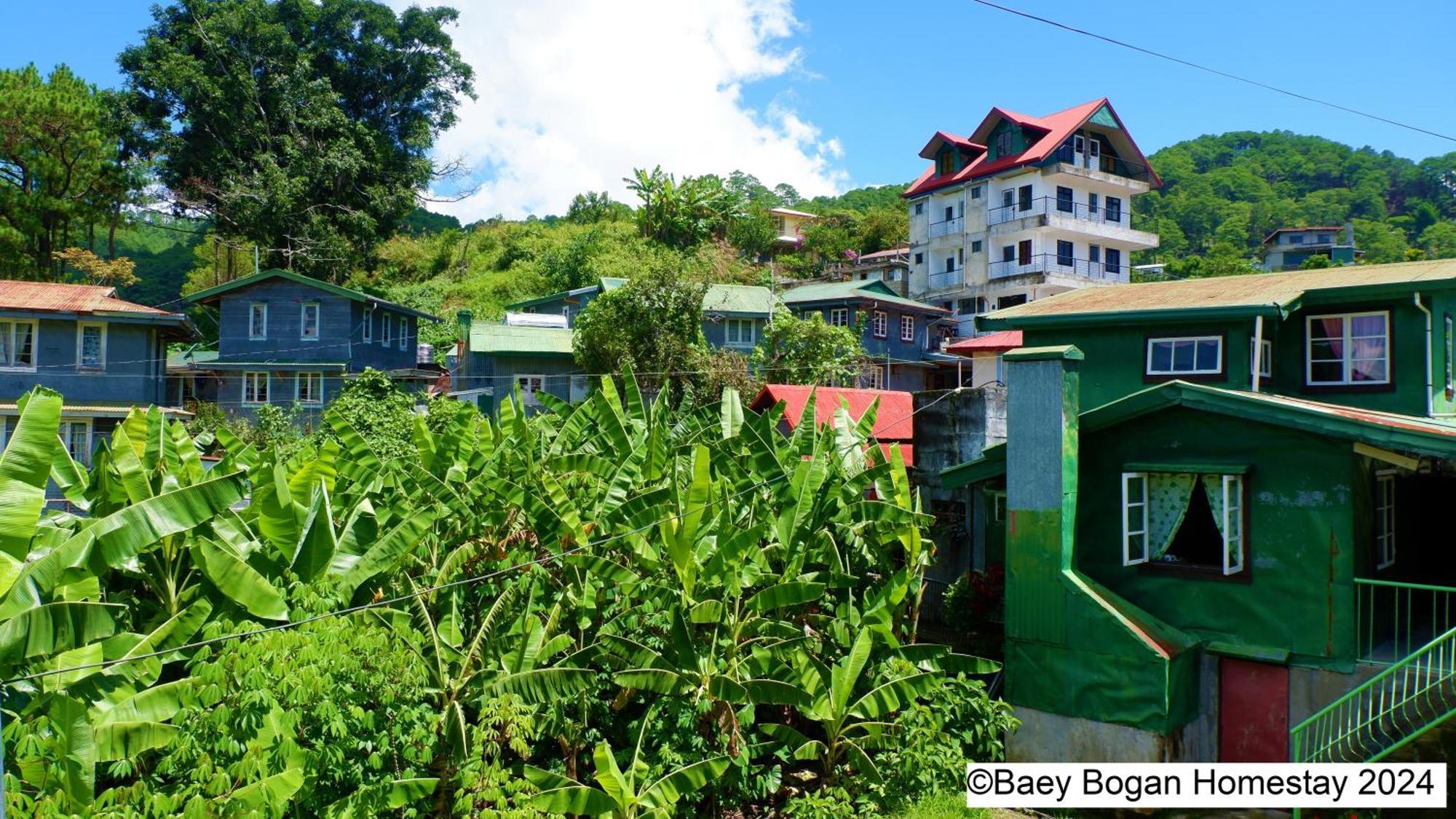 Baey Bogan Homestay Sagada Exterior foto