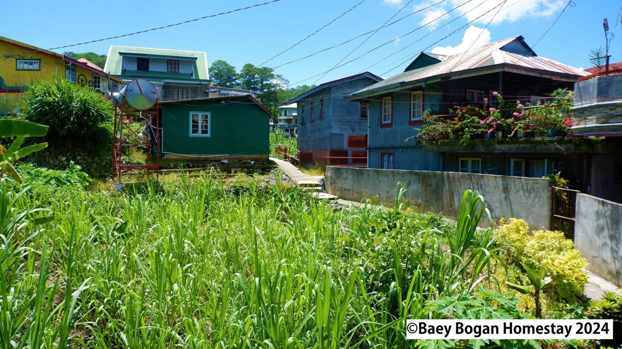 Baey Bogan Homestay Sagada Exterior foto
