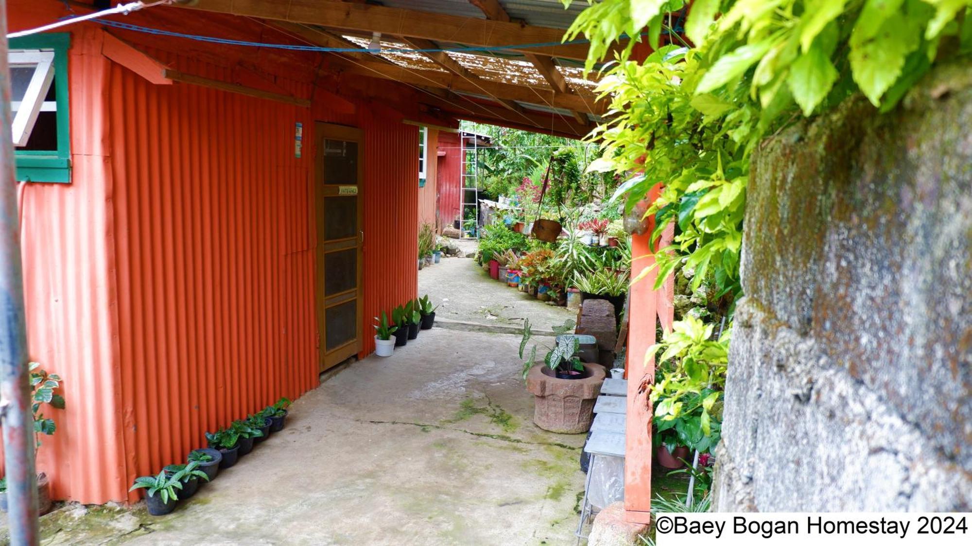 Baey Bogan Homestay Sagada Exterior foto