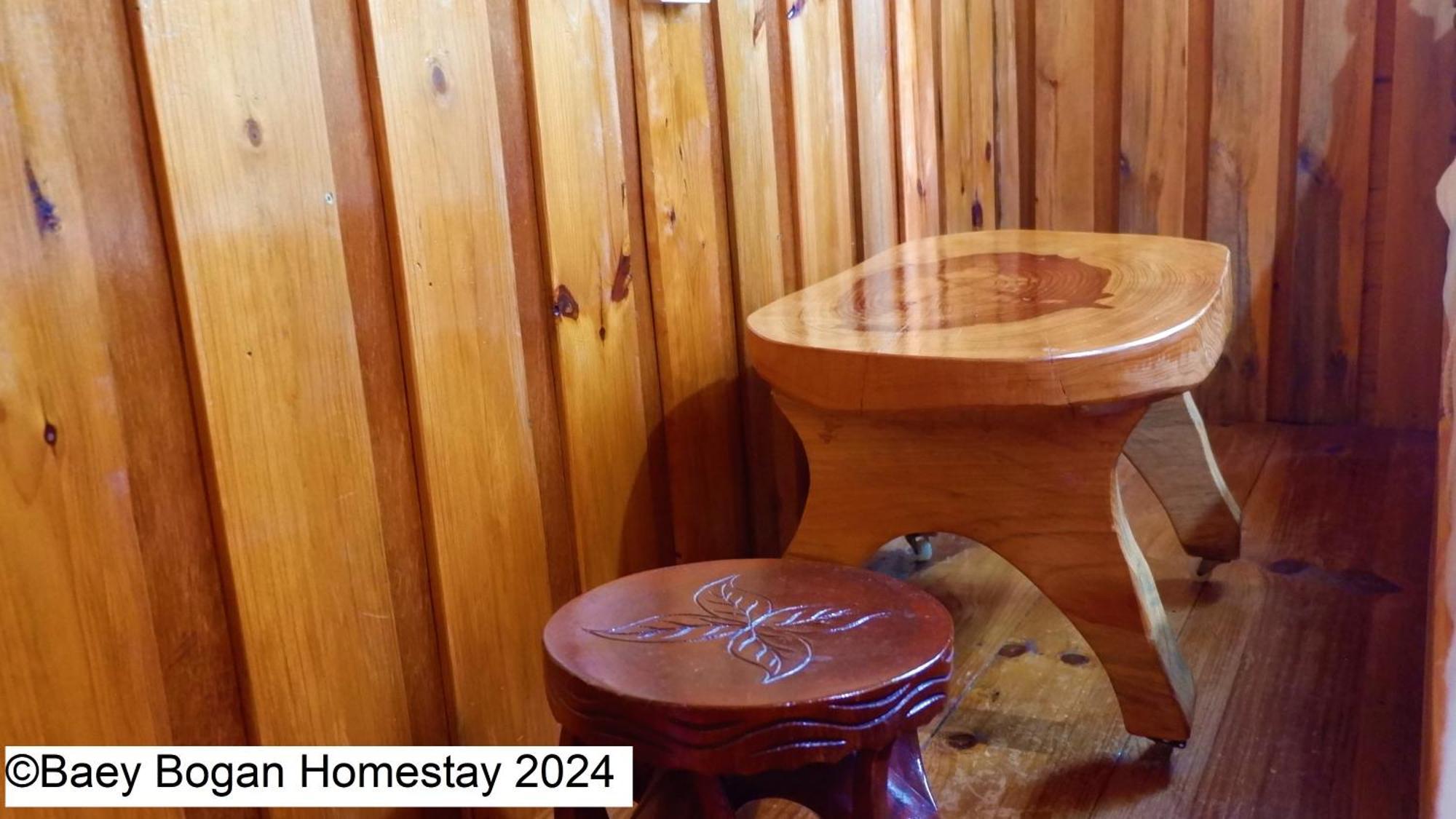 Baey Bogan Homestay Sagada Exterior foto