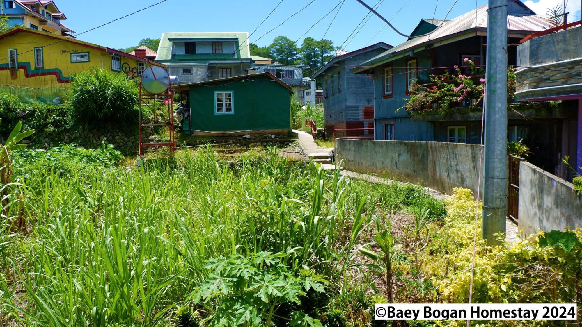 Baey Bogan Homestay Sagada Exterior foto