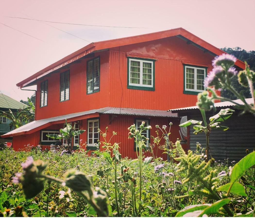 Baey Bogan Homestay Sagada Exterior foto